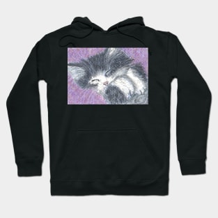 fluffy kitten Hoodie